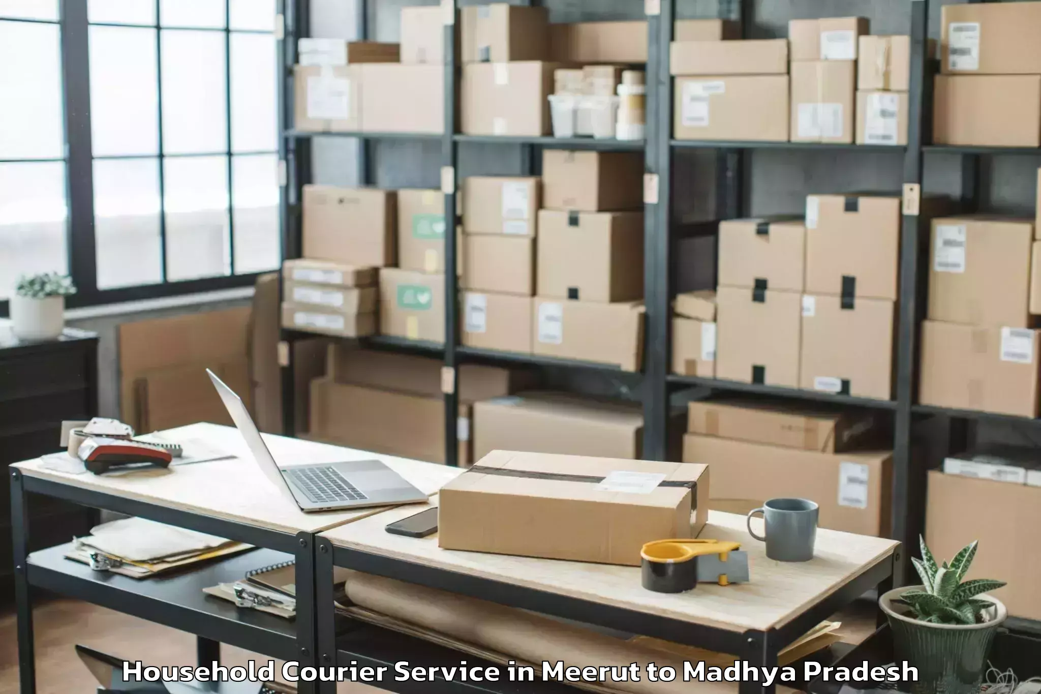 Book Meerut to Satna Household Courier Online